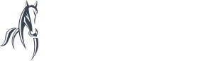 DE BRUYN PATRICE logo