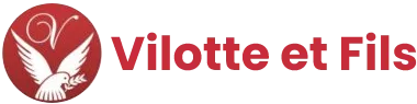 G VILOTTE ET FILS logo