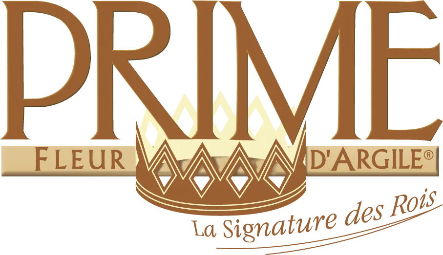 SA PRIME logo