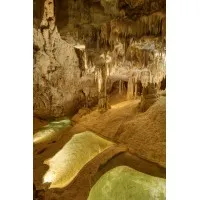 GROTTES DES MOIDONS logo