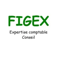 Voici le logo de la marque FIDUCIAIRE GESTION EXPERTISE COMPTABLE (FIGEX) qui représente son identité graphique.