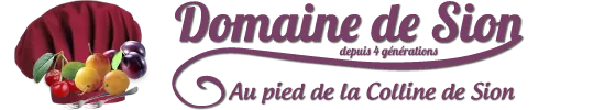DOMAINE DE SION logo