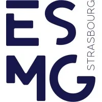 ECOLE SUPERIEURE MANAGEMENT GESTION (ESMG) logo