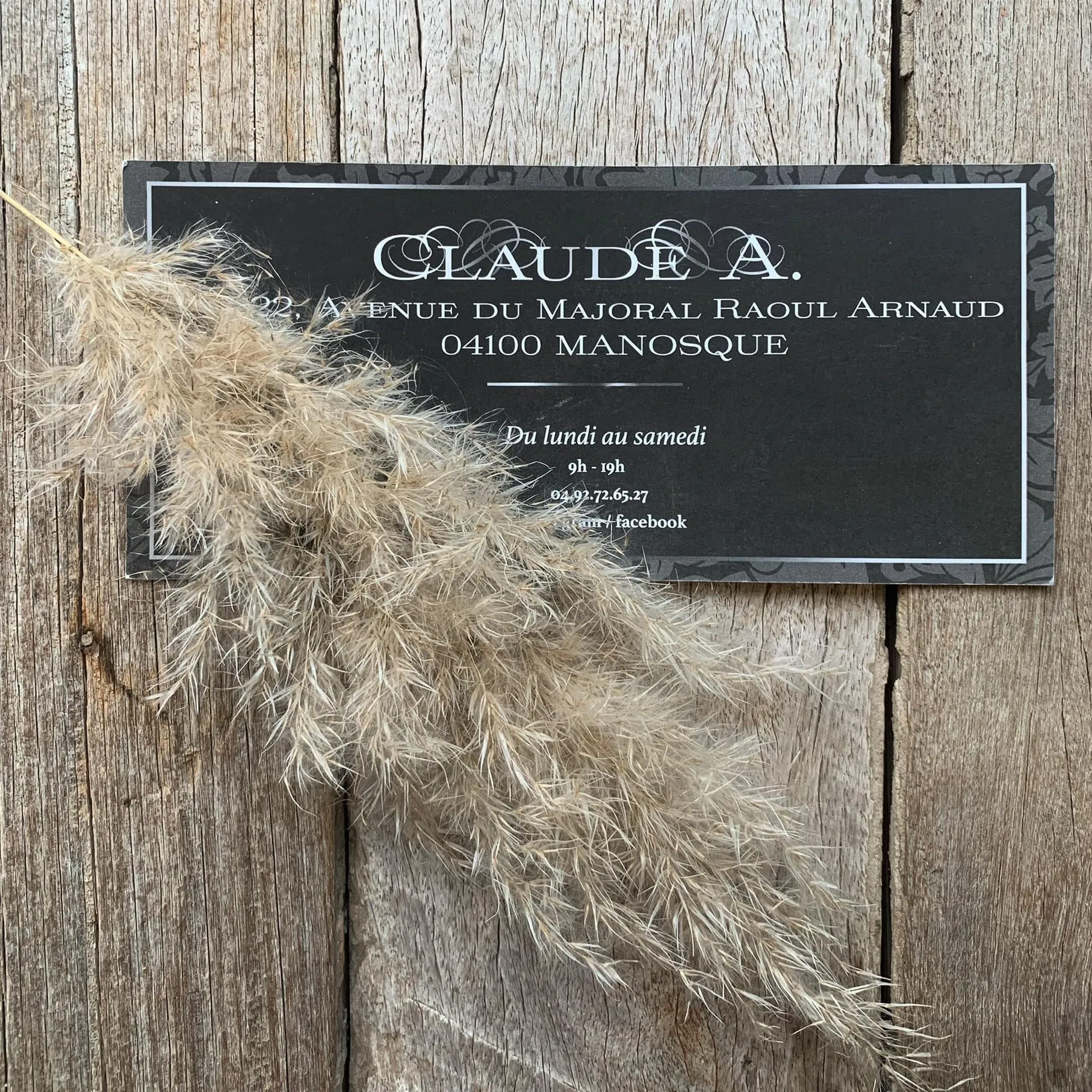 CLAUDE.A logo