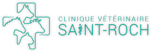 CLINIQUE VETERINAIRE SAINT ROCH - SOCIETE CIVILE PROFESSIONNELLE DES DOCTEURS COLIN-DALICHAMPT-POUTAS-ROPARS-VAN VLIERBE logo