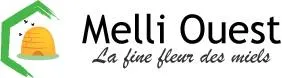 MELLI-OUEST INTERNATIONAL logo