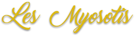 MAUPIED SYLVIE (LES MYOSOTIS) logo