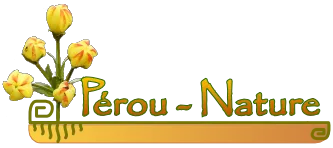 OLIVARES CIPRIAN JUAN-LUCIO logo