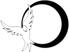 POMPES FUNEBRES AMANDINOISES logo