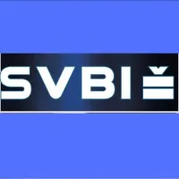 SOCIETE DE VISSERIE BOULONNERIE INDUSTRIELLES (SVBI) logo