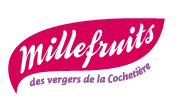Voici le logo de la marque FLASH FRUITS qui représente son identité graphique.