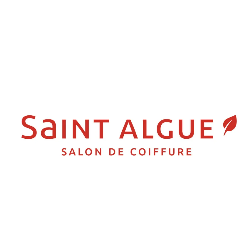 SARL STYL 69 (SAINT ALGUE) logo
