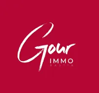 GOUR IMMOBILIER CONSEIL logo