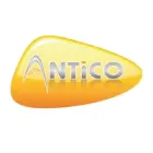 ANTICO logo