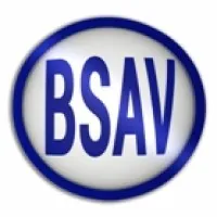 B S A V logo