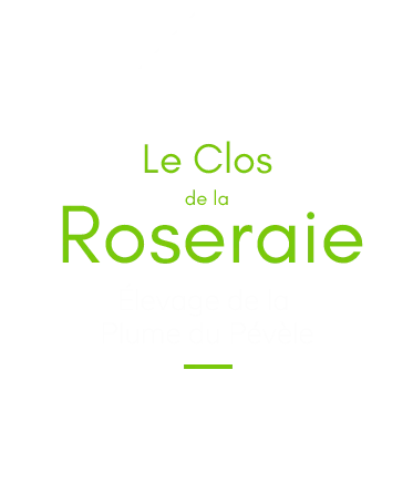SARL CHENIL DU CLOS DE LA ROSERAIE logo