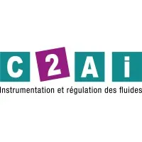 C 2A I logo