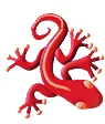 CHAUDIERES SERVICES logo