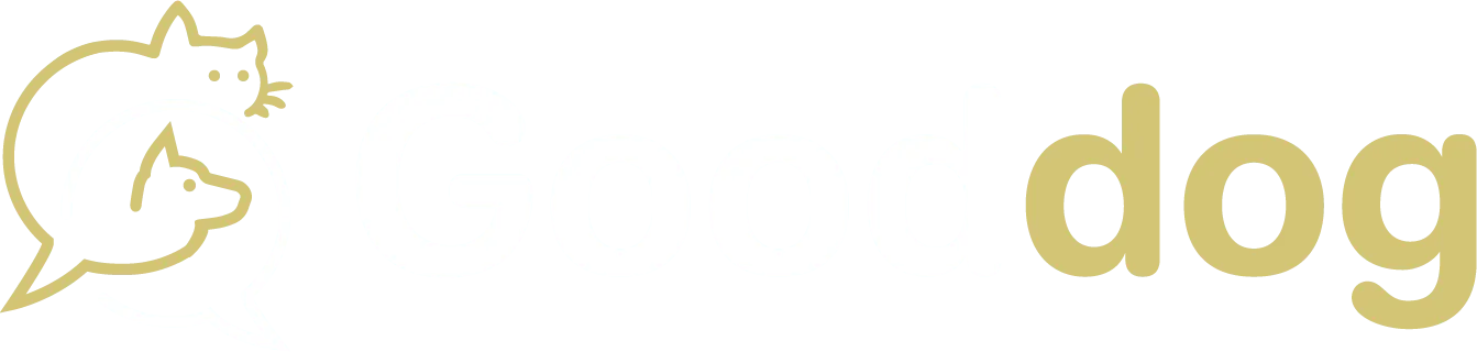 COSTES THIERRY logo
