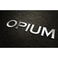 INTERNATIONAL INVESTISSEMENT logo