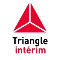 TRIANGLE INTERIM SOLUTIONS RH (TRIANGLE INTERIM) logo
