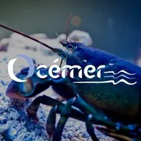 OCEMER (OCEMER) logo
