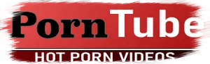 D.S. NET logo