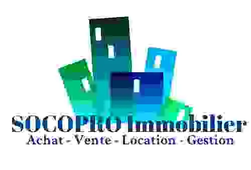 CARLI logo