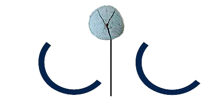 SCI CHEMIN CREUX logo
