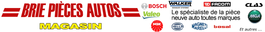 BRIE PIECES AUTO logo