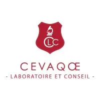 CEVAQOE INVEST logo