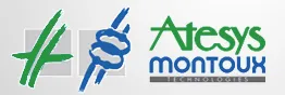 ATESYS logo