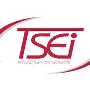 TECHNIQUES DE SECURITE POUR L'ENVIRONNEMENT INFORMATIQUE (TSEI) logo
