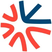 VISIO NERF logo