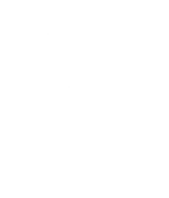 DELAN PATRICK ANTIQUITES logo