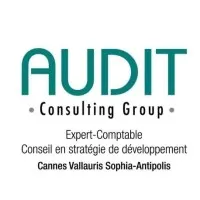 AUDIT CONSULTING TAXES GROUP (ACTGROUP) logo