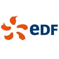 EDF INTERNATIONAL (EDFI SA) logo