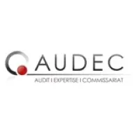 AUDEC AUDIT EXPERTISE COMMISSARIAT logo