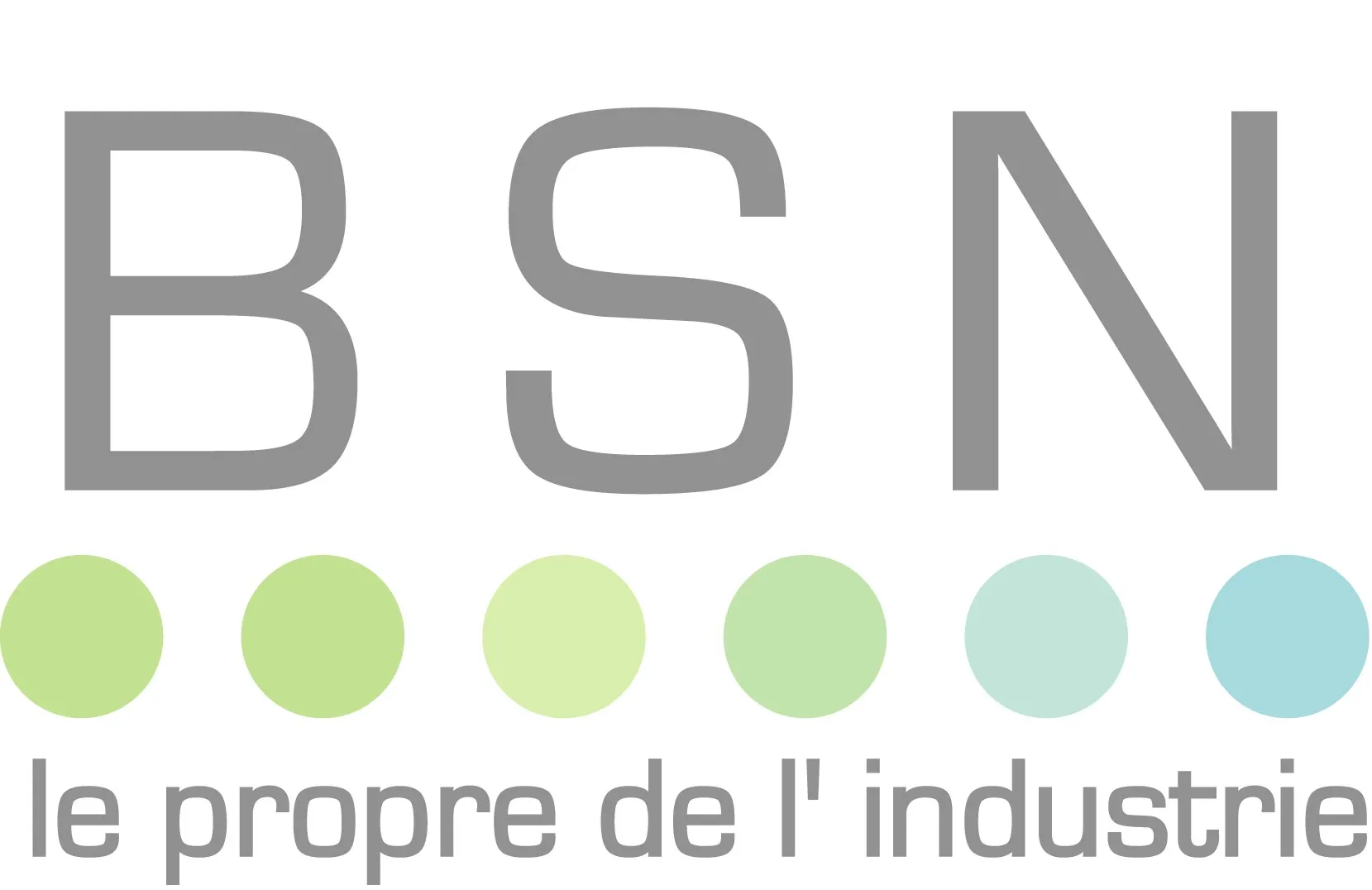 BALASTRE SERVICE NETTOYAGE (BSN) logo