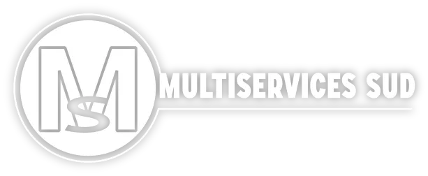 MULTISERVICES SUD logo