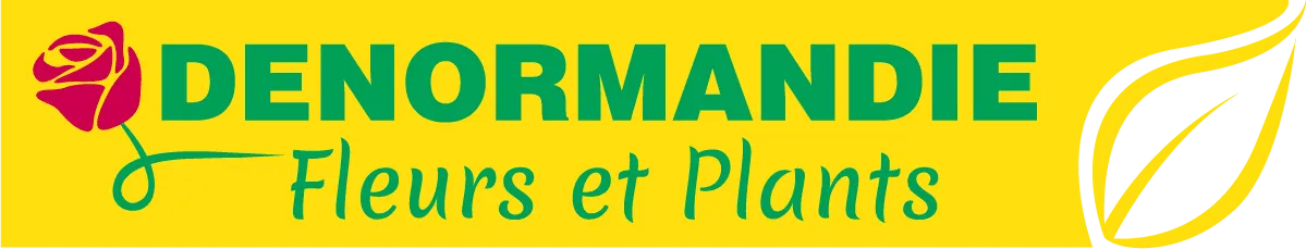 DENORMANDIE logo