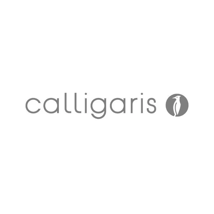 STYLE CUISINE logo
