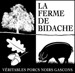 EARL DE VERONE logo