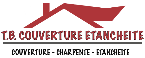 BLAIN THIERRY logo