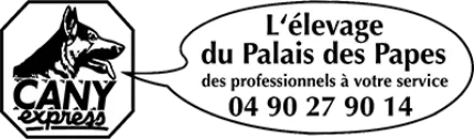 CANY EXPRESS logo