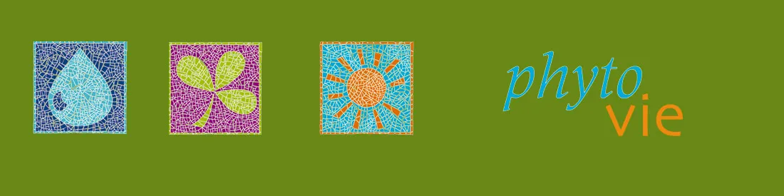 OLLAVIE (OLLAVIE) logo