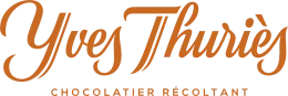 EXCELLENCE (yves thuries) logo