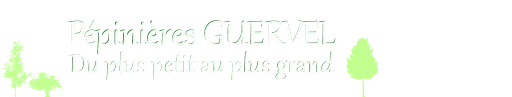 GUERVEL JOSE logo