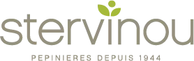 A STERVINOU logo