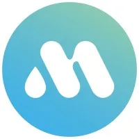 BLANCHISSERIE MORELLON logo